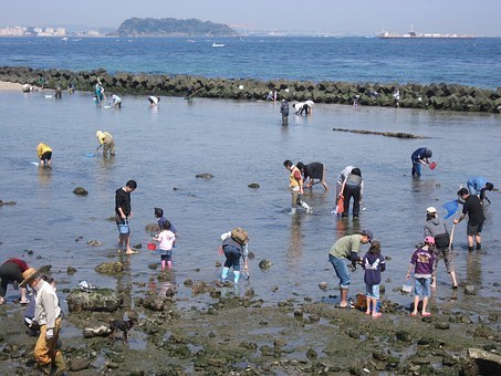 吉田海岸の潮干狩り 17年の情報まとめ 潮干狩り 17年のおすすめスポット